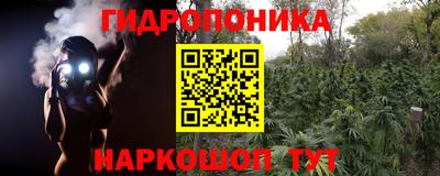 ГАЛЛЮЦИНОГЕННЫЕ ГРИБЫ Моздок