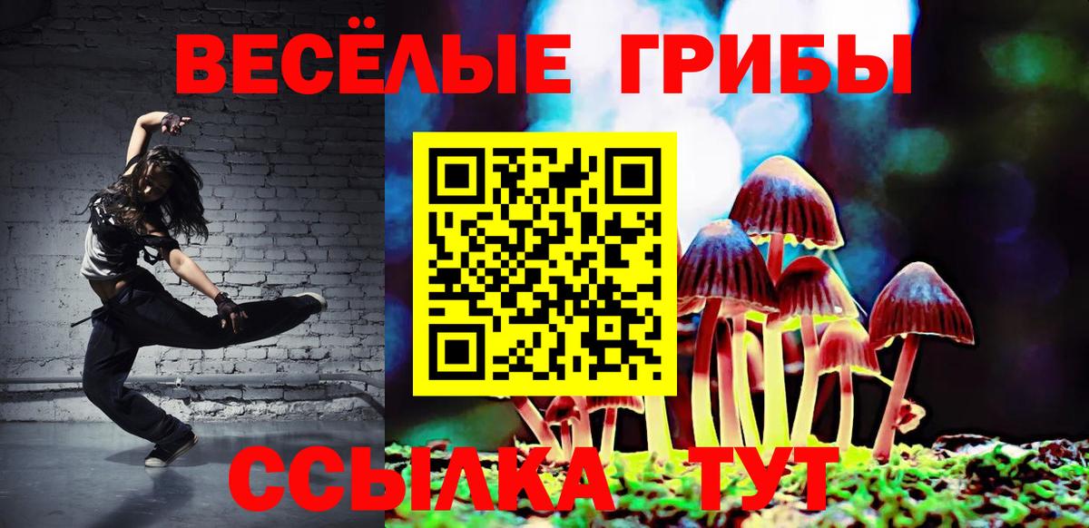 Псилоцибиновые грибы ЛСД Тара